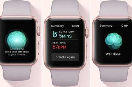 How Apple Watch Revealed My Toxic Stress Level, and Helped Me Fix it?